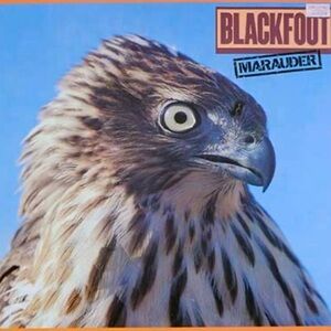 BLACKFOOT ~ “Marauder” original album cover and sleeve no scratches on wax
